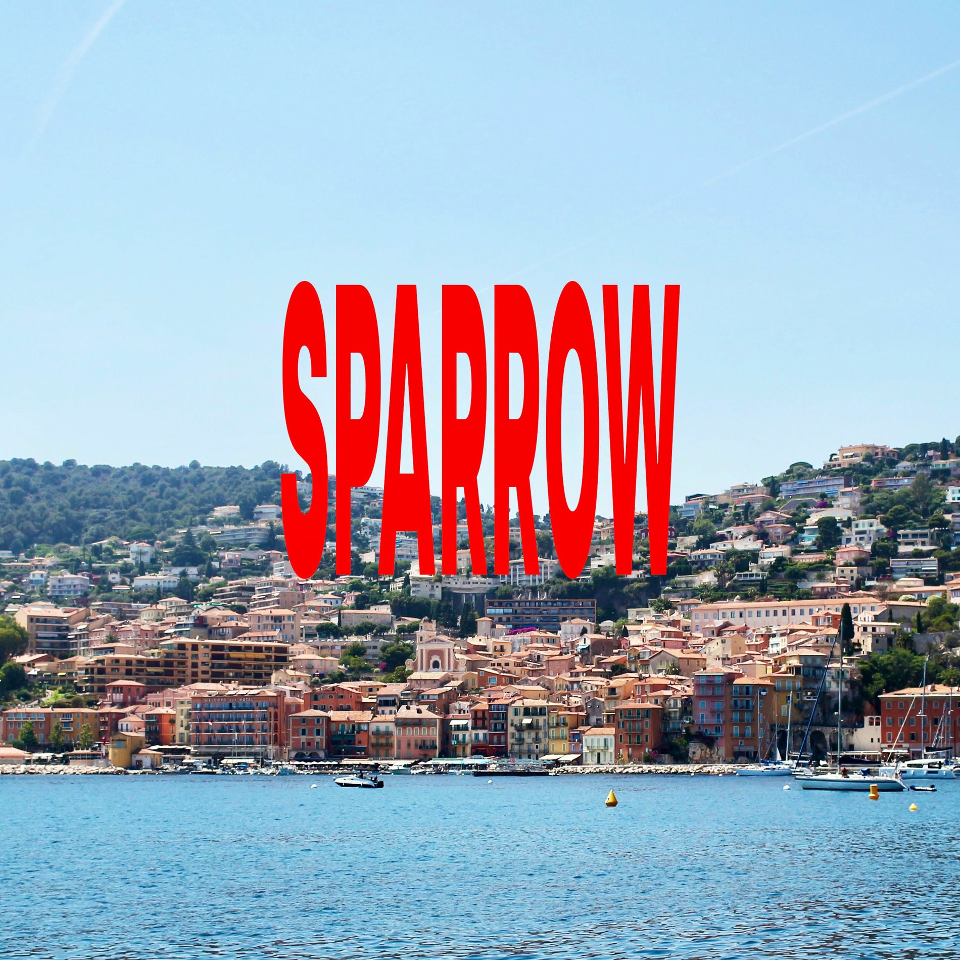 Album cover of SPARROW
