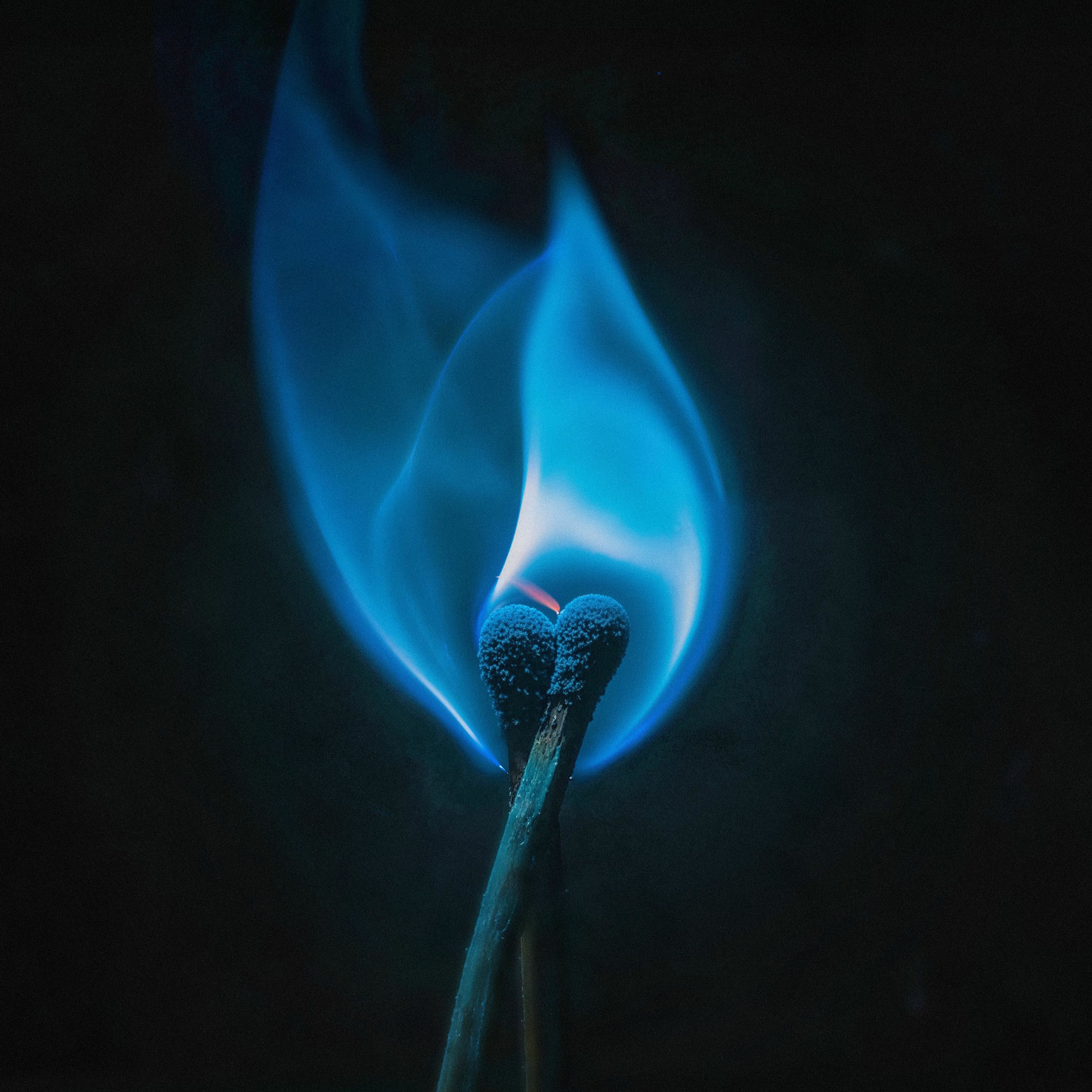 Album cover of Stupido Me, Stupida Te