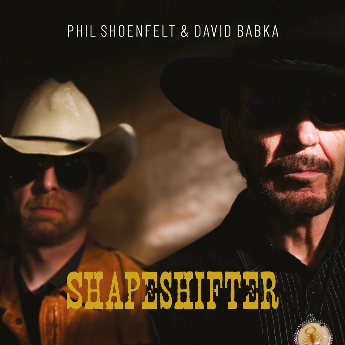 Album cover of Shapeshifter
