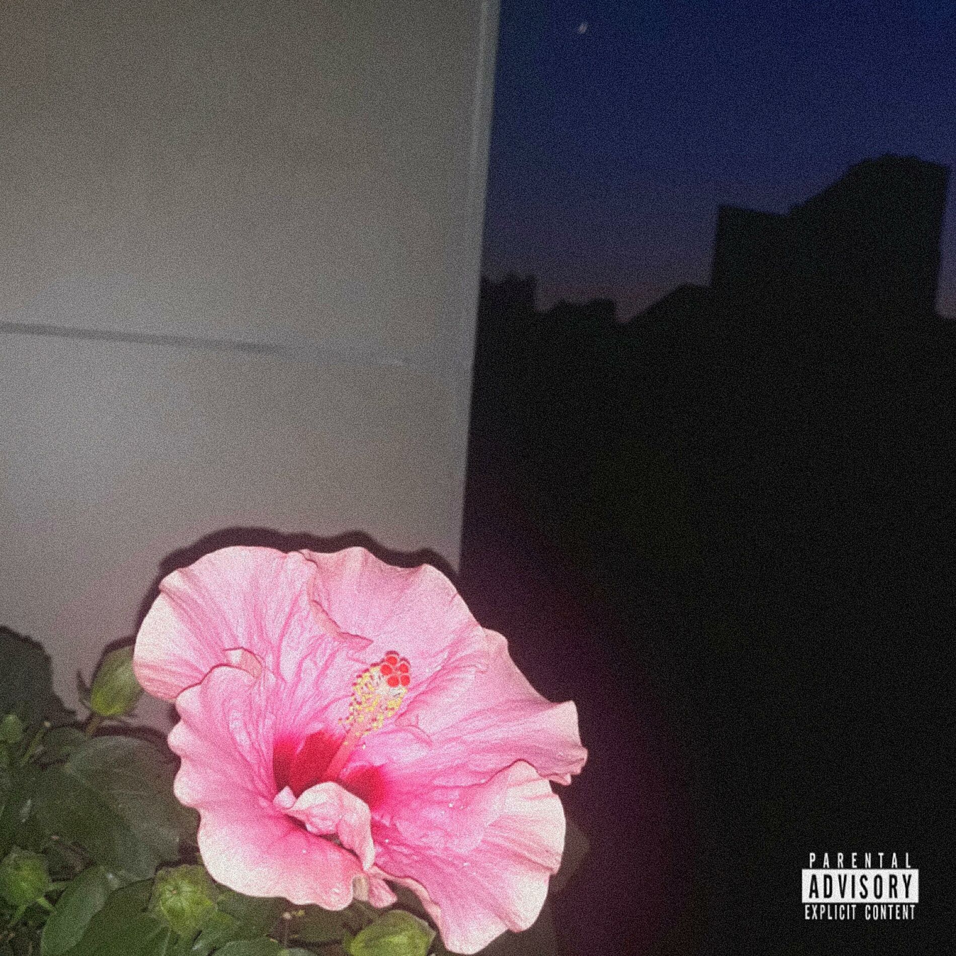 Album cover of Anni 20
