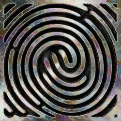 Cover of Human (Extended Cut)