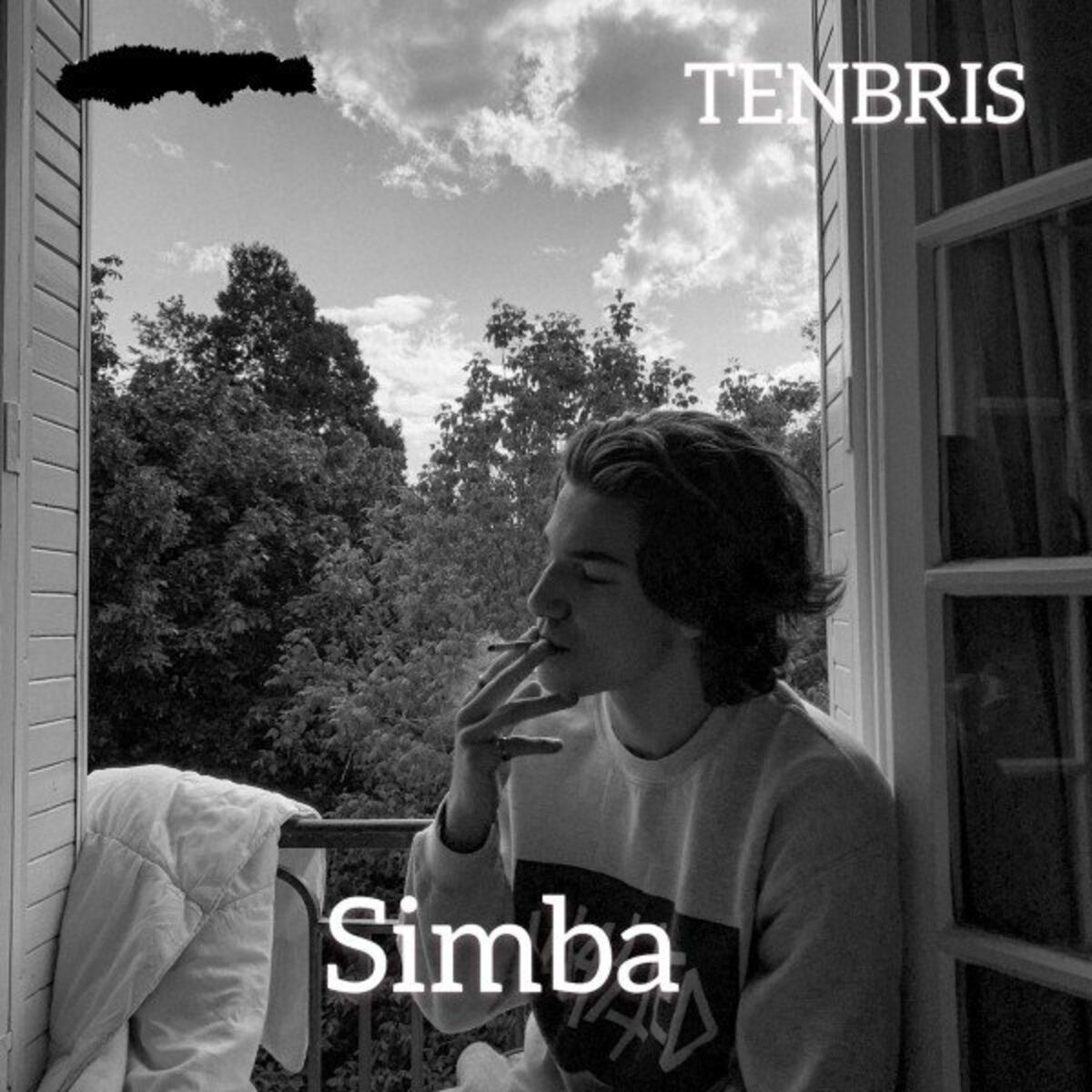 Album cover of Journal de bord