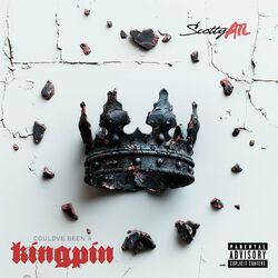 Cover of Could've Been A Kingpin