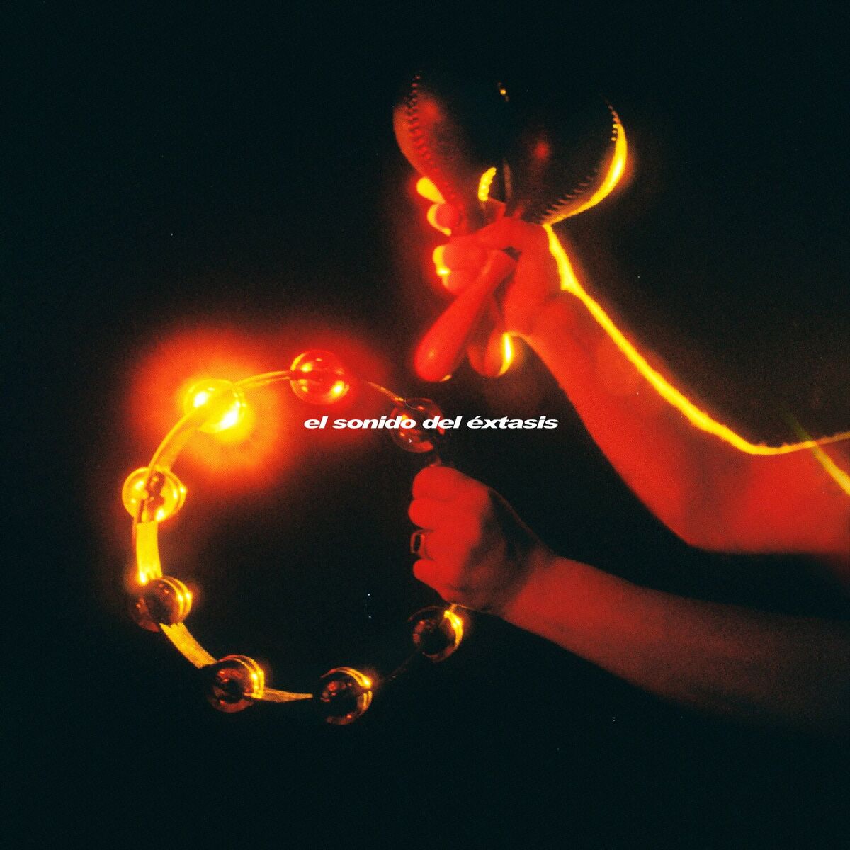 Album cover of El Sonido Del Éxtasis