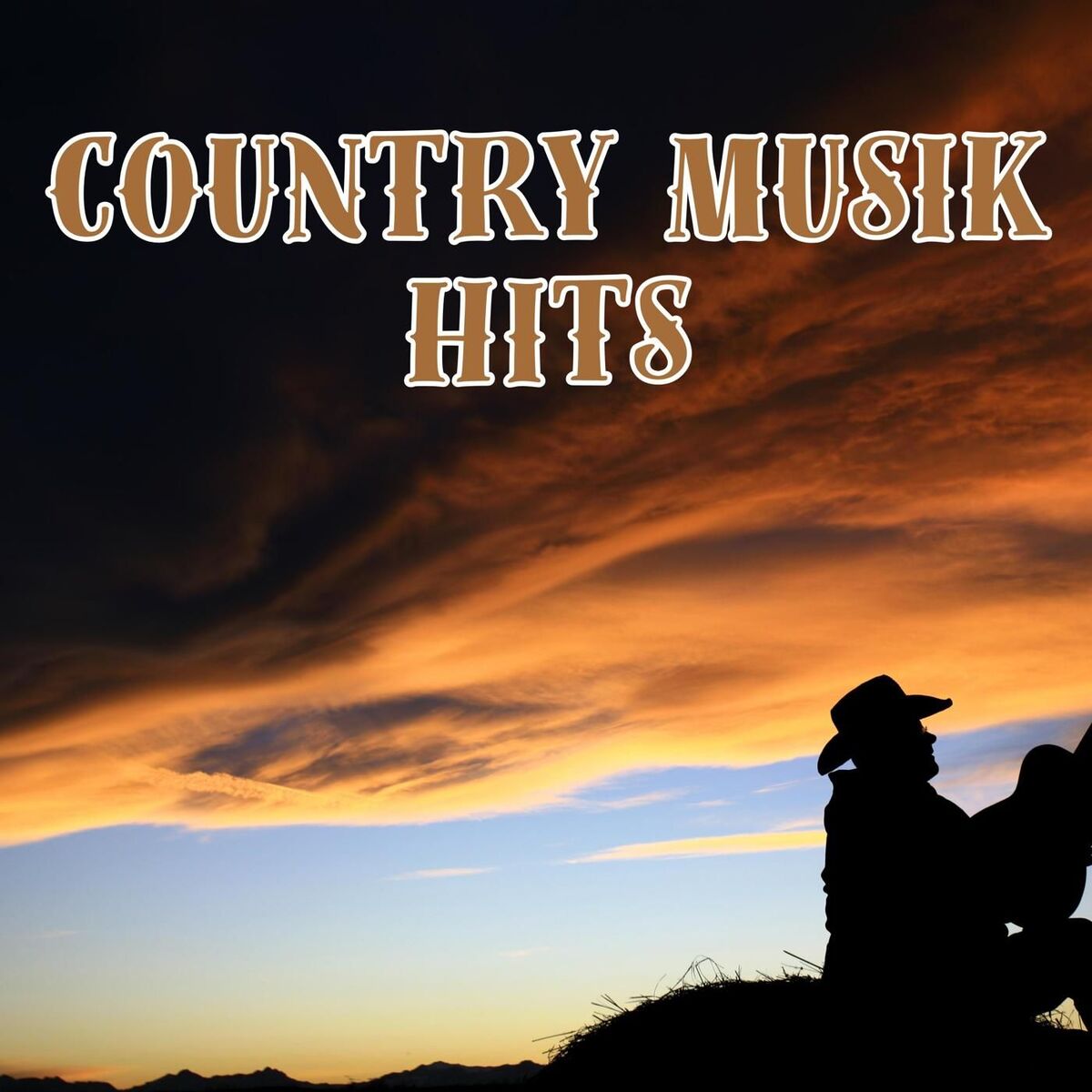 Album cover of Country Musik Hits