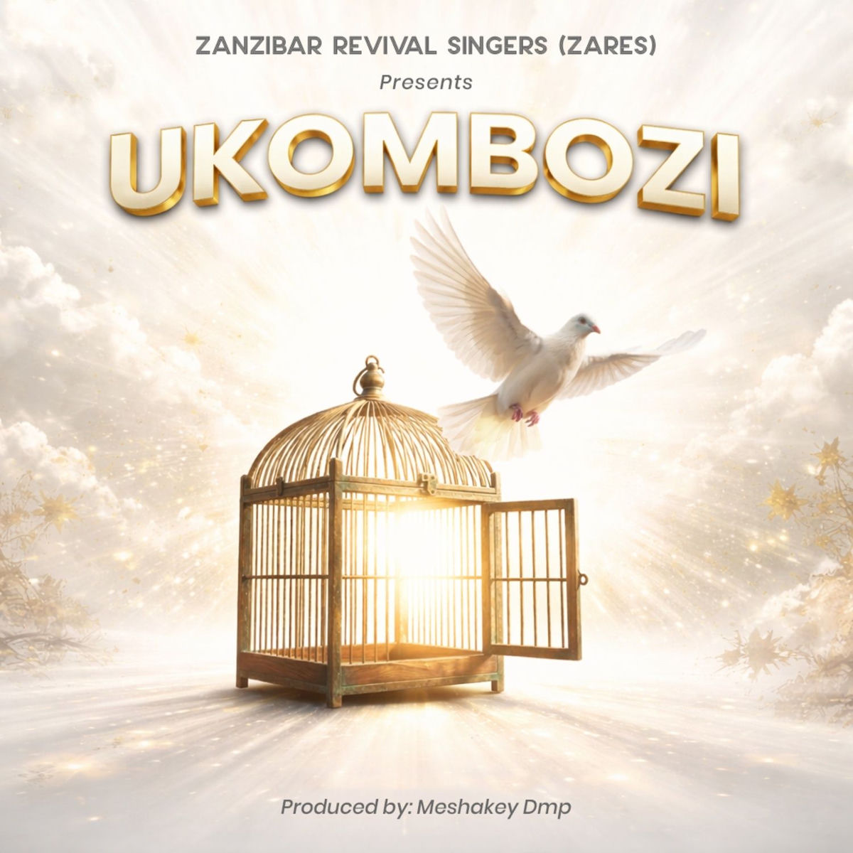 Album cover of UKOMBOZI