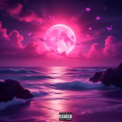 The Butterfly Era // PINK SZN 2