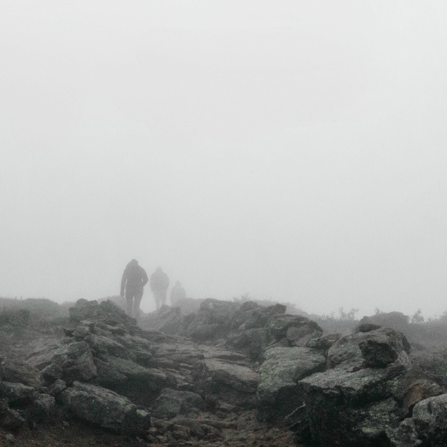 Album cover of New Paths