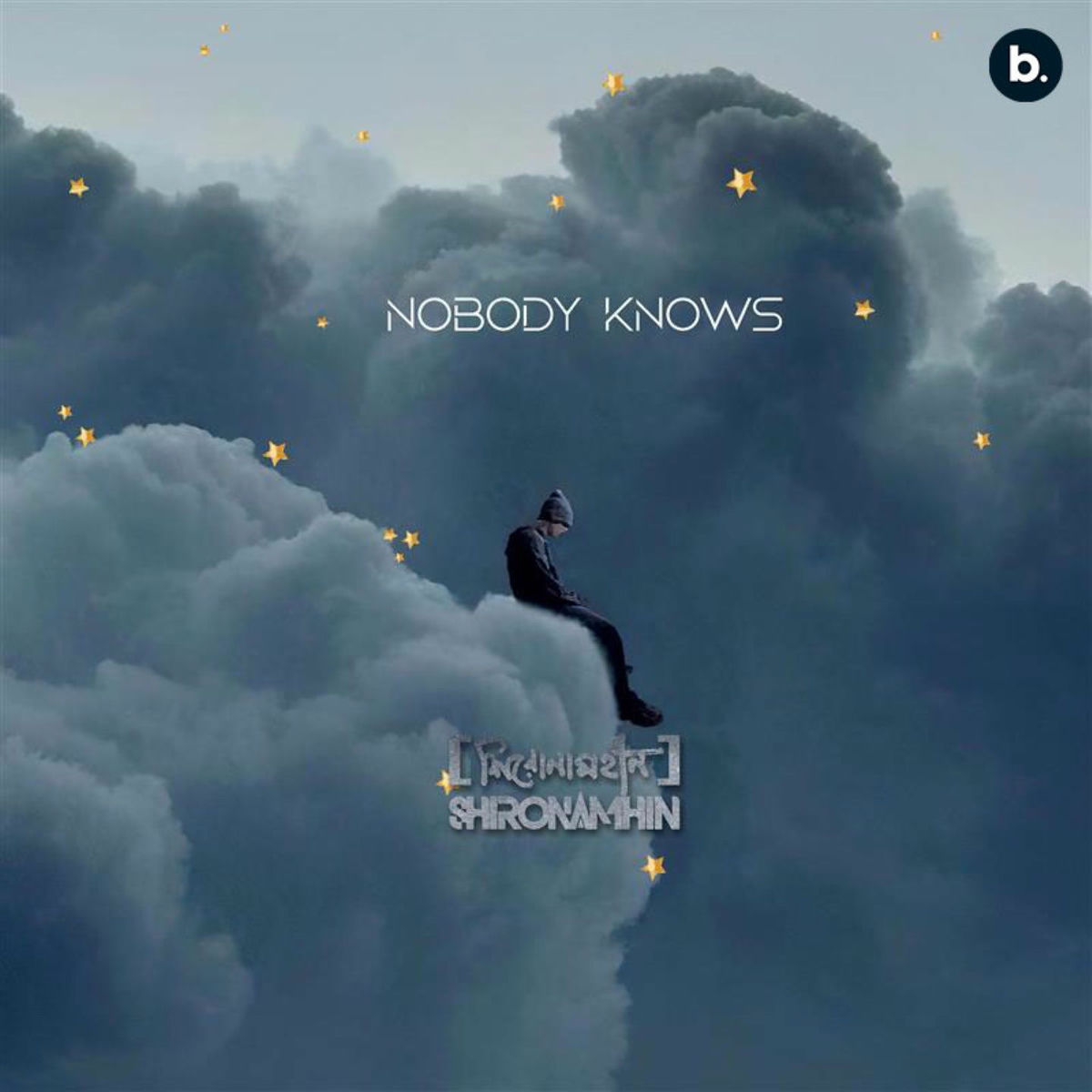 Album cover of Nobody Knows
