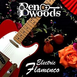 Cover of Electric Flamenco
