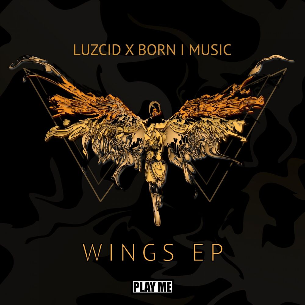 Picture of Wings EP