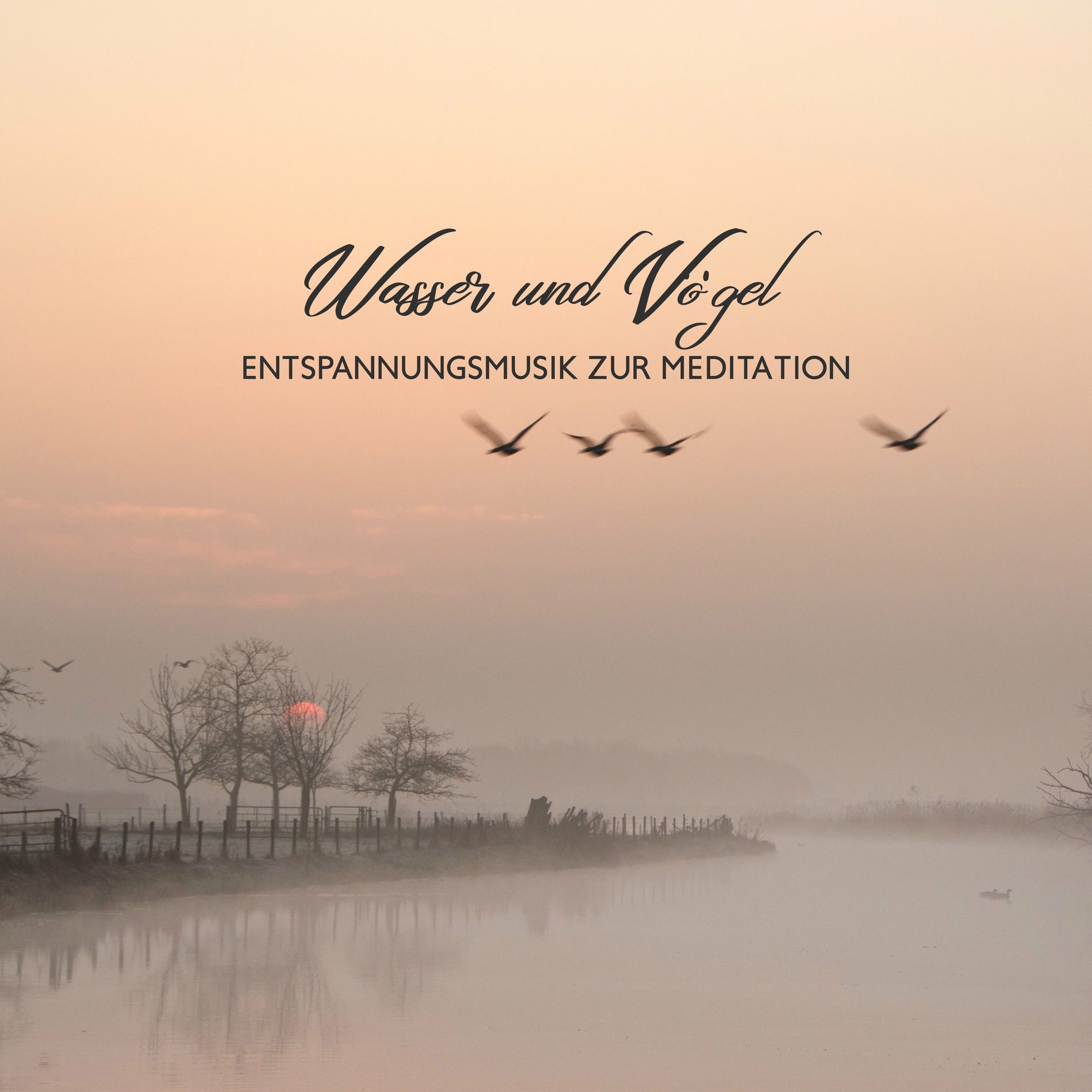 Album cover of Wasser und Vögel: Entspannungsmusik zur Meditation