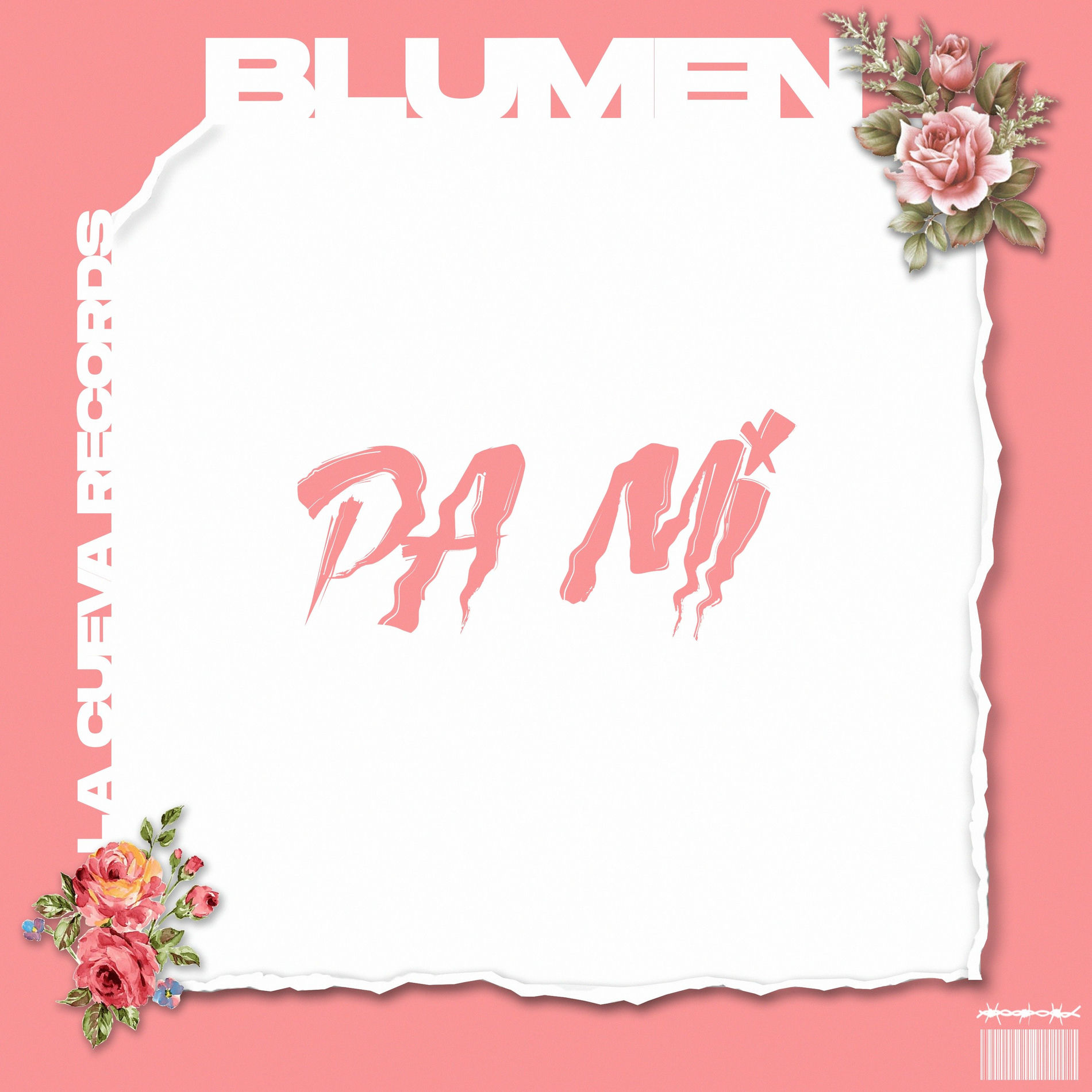 Album cover of Pa Mi