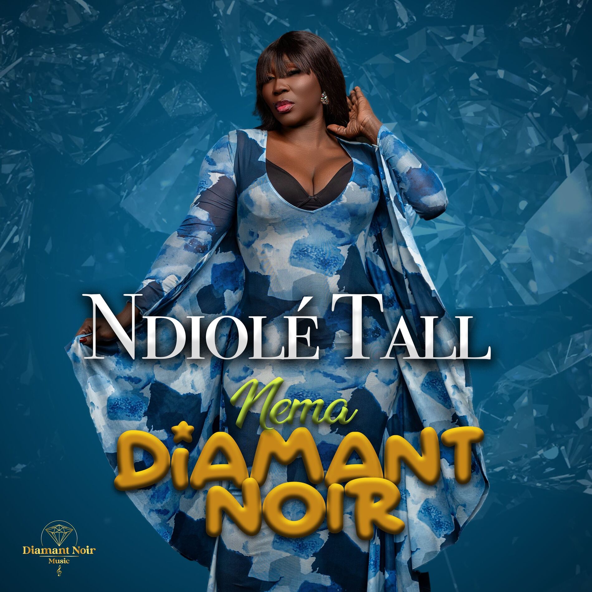 Album cover of Nema Diamant Noir