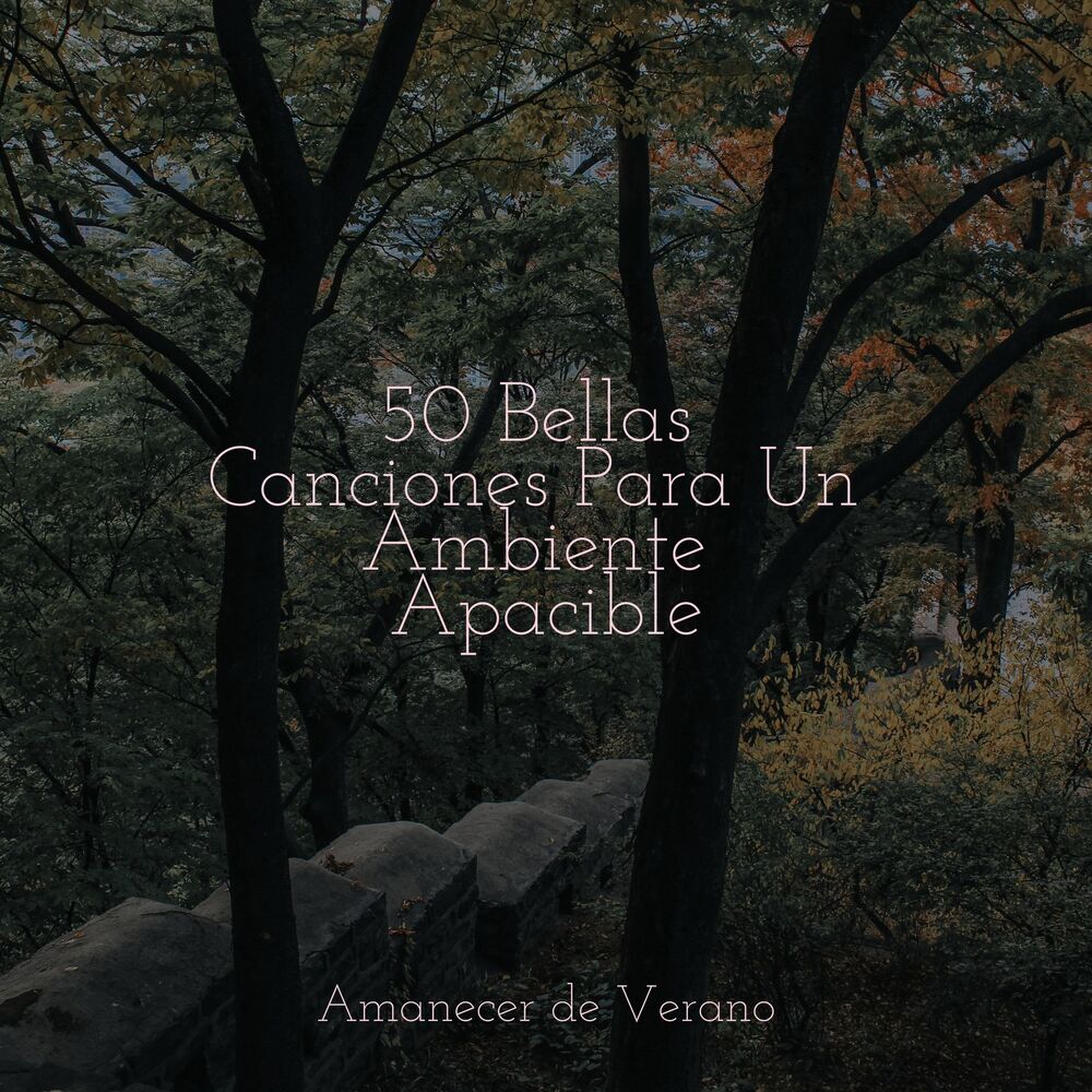 Picture of 50 Bellas Canciones Para Un Ambiente Apacible