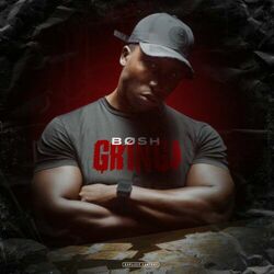 Cover of Gringa
