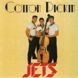 Cover of Cotton Pickin