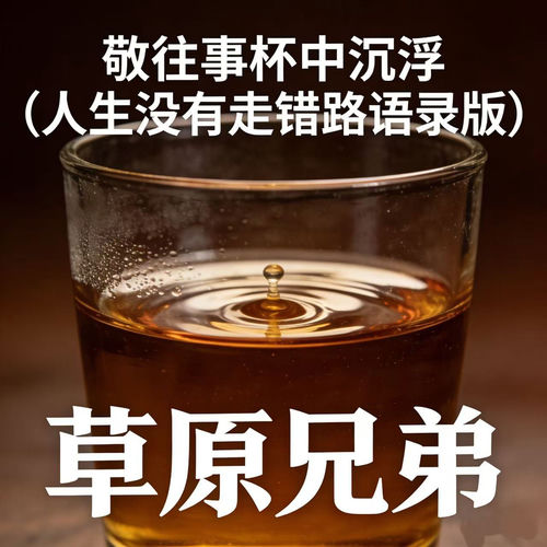 敬往事杯中沉浮（人生没有走错路语录版）