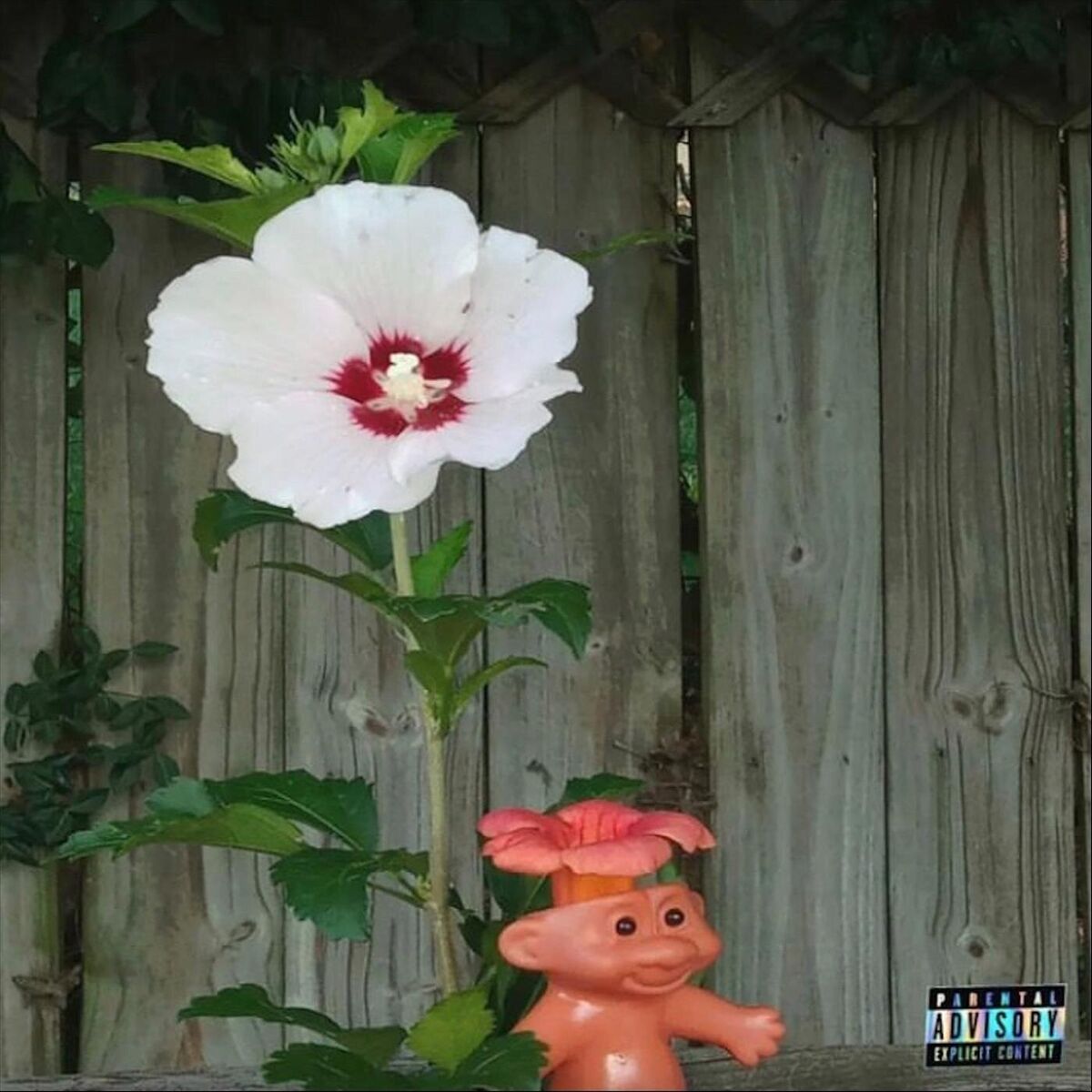 Album cover of Flowerpot
