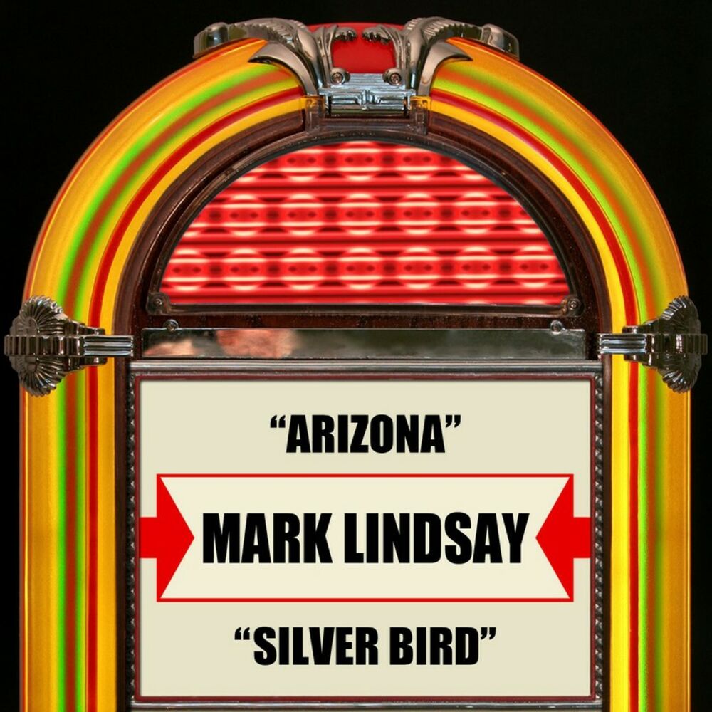 Picture of Arizona / Silver Bird
