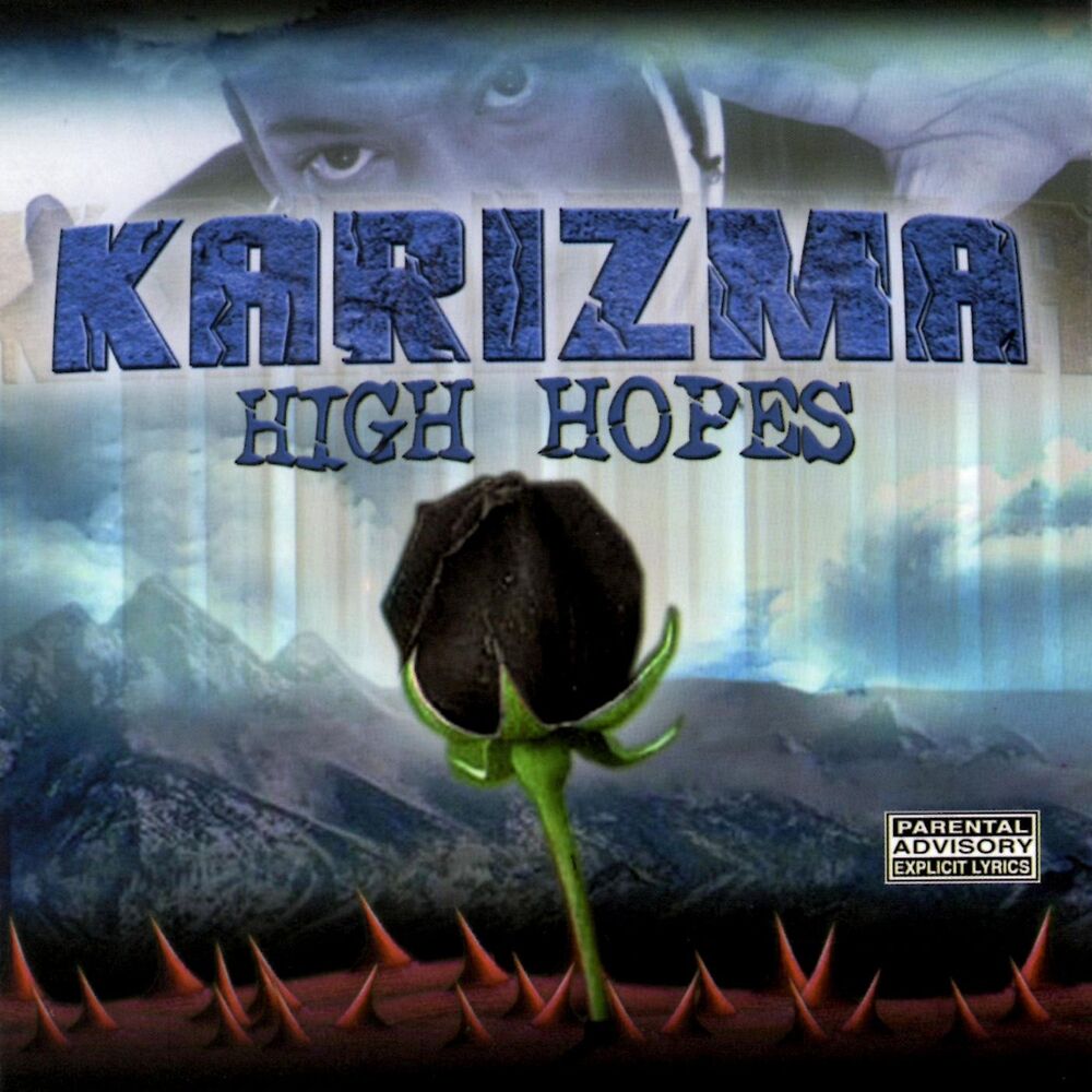 Picture of High Hopes