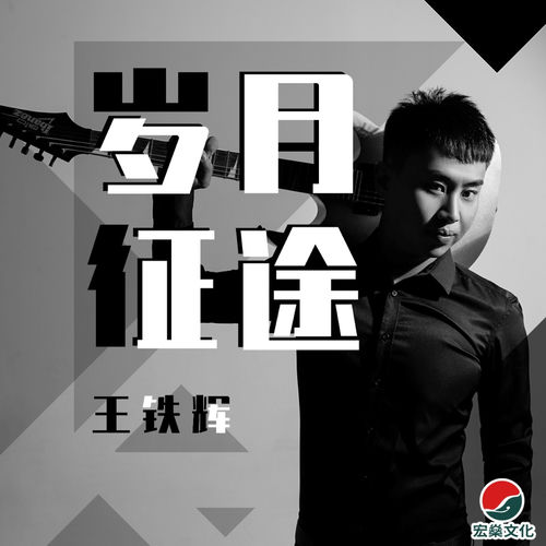 岁月征途 (DJ默涵版)
