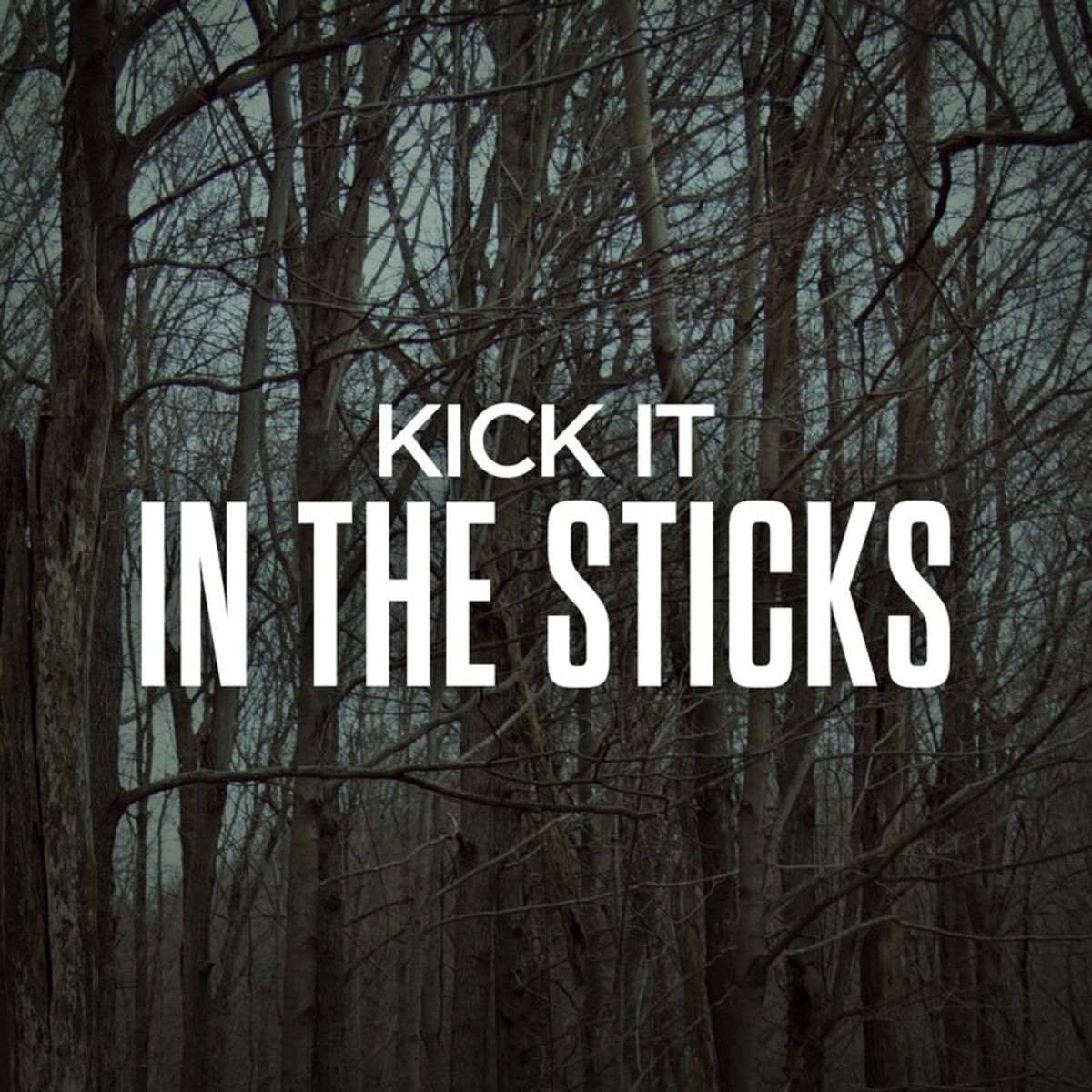 Album picture of Kick It In The Sticks