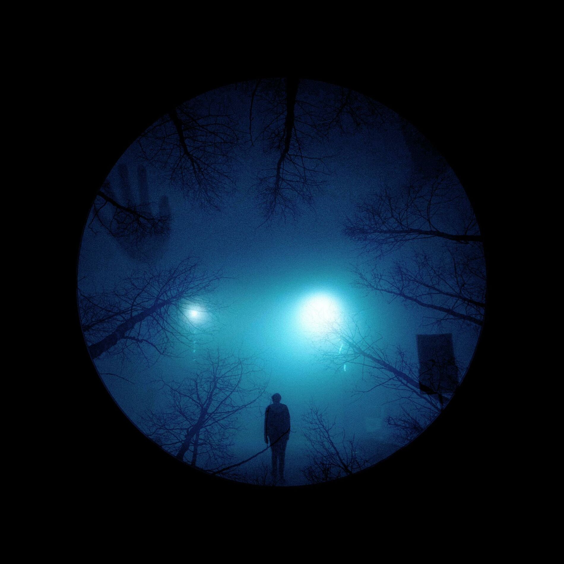 Album cover of 2010