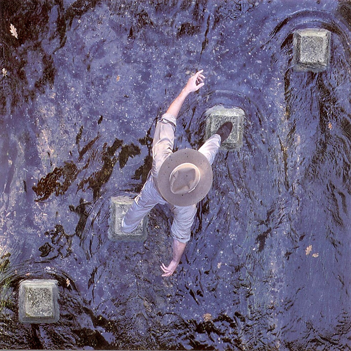 Album cover of A Valid Path