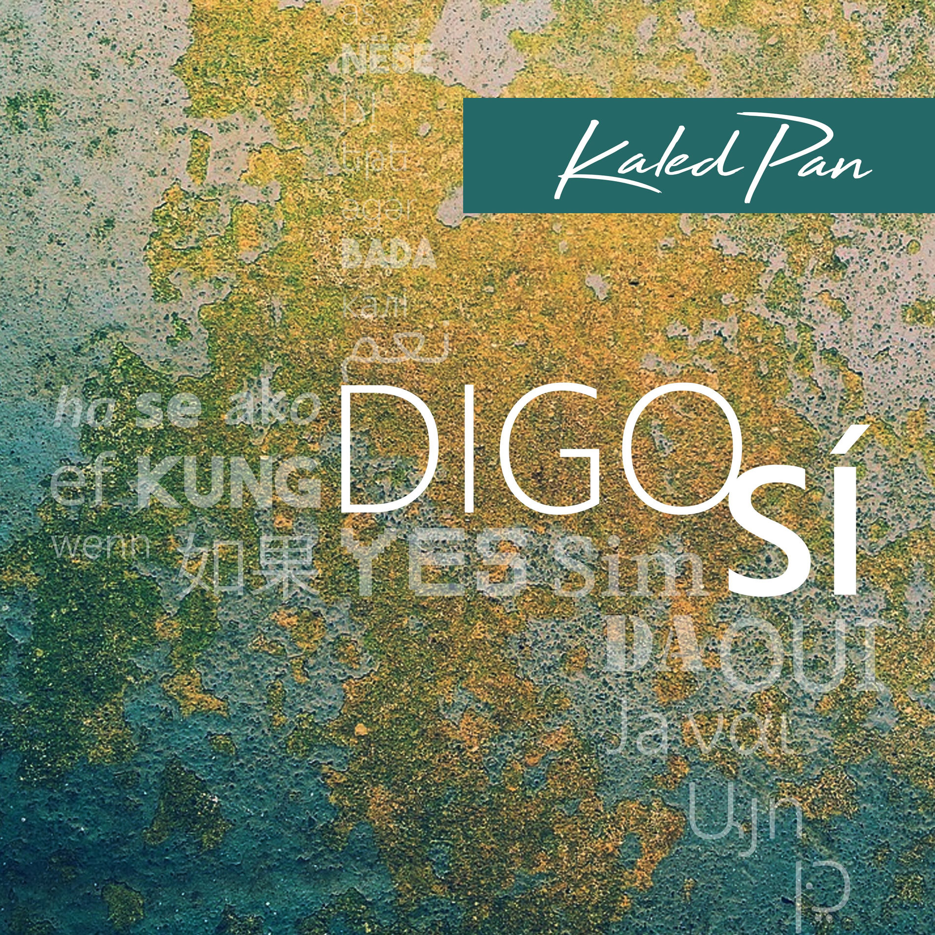 Album cover of Digo Sí