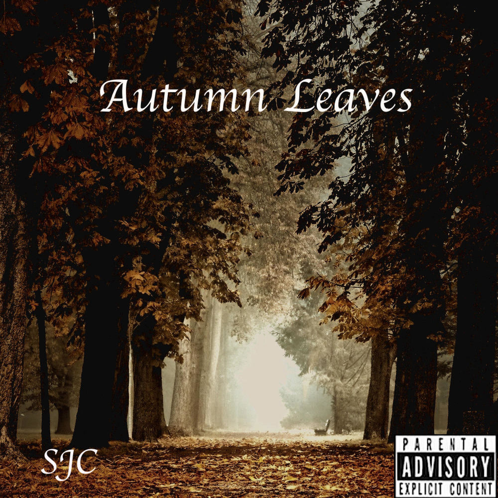Pochette Autumn Leaves