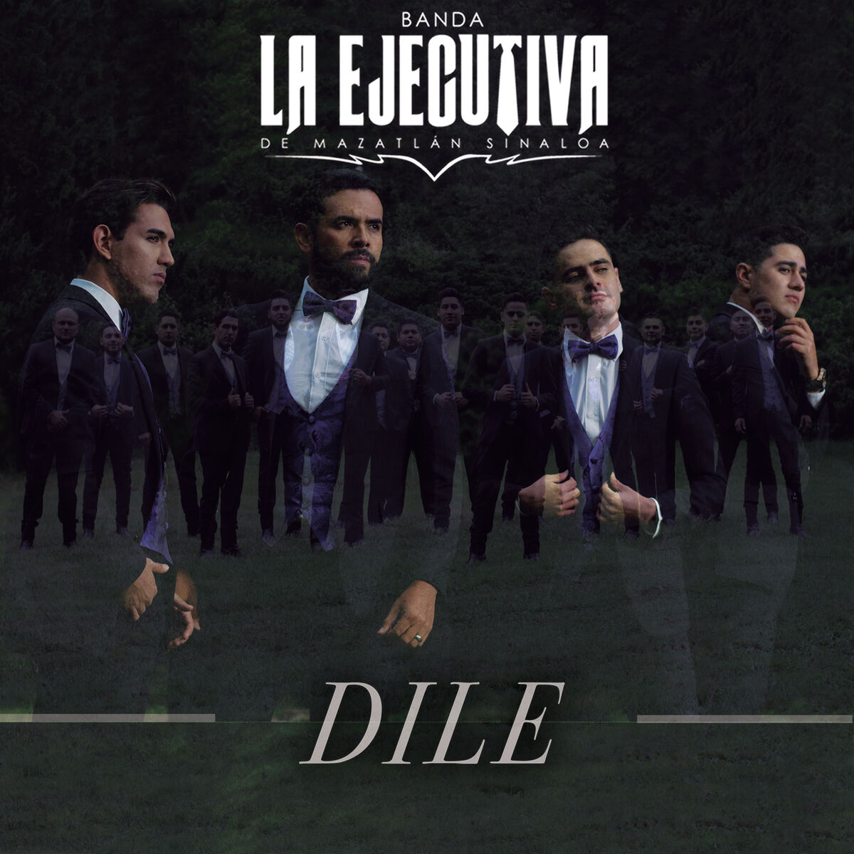 Album cover of Dile