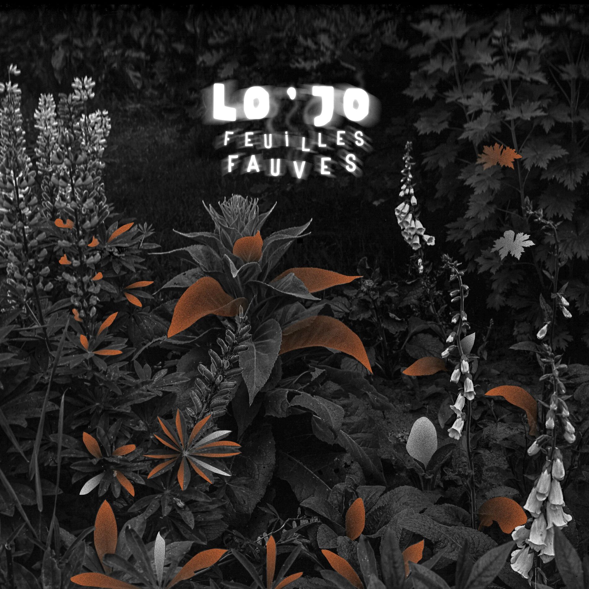 Album cover of Mandiego