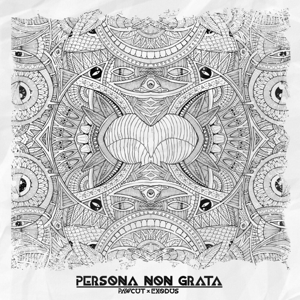 Picture of Persona Non Grata