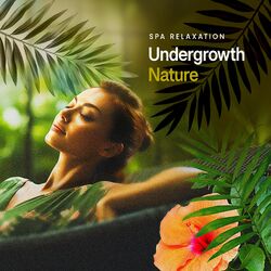 Cover of Undergrowth Nature