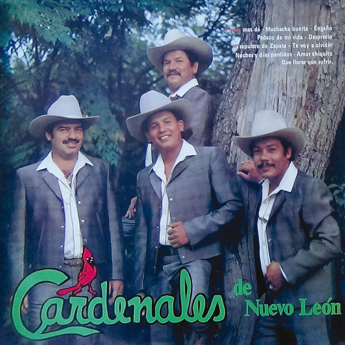 Album cover of Y Qué Más Da