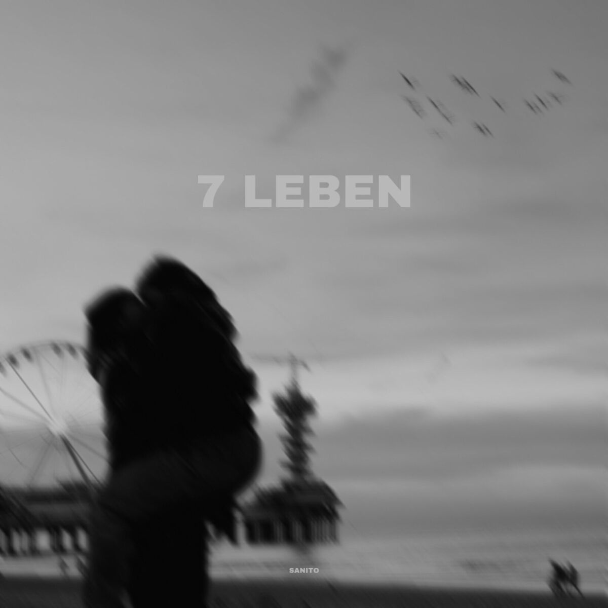 Album cover of 7 Leben