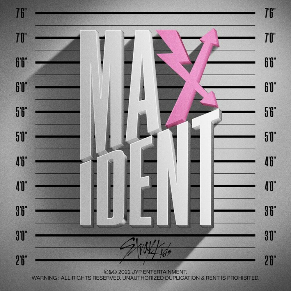 Picture of MAXIDENT