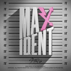 Cover of MAXIDENT