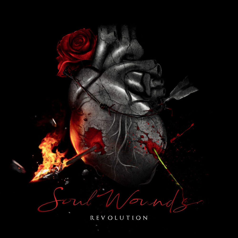Picture of Soul Wounds