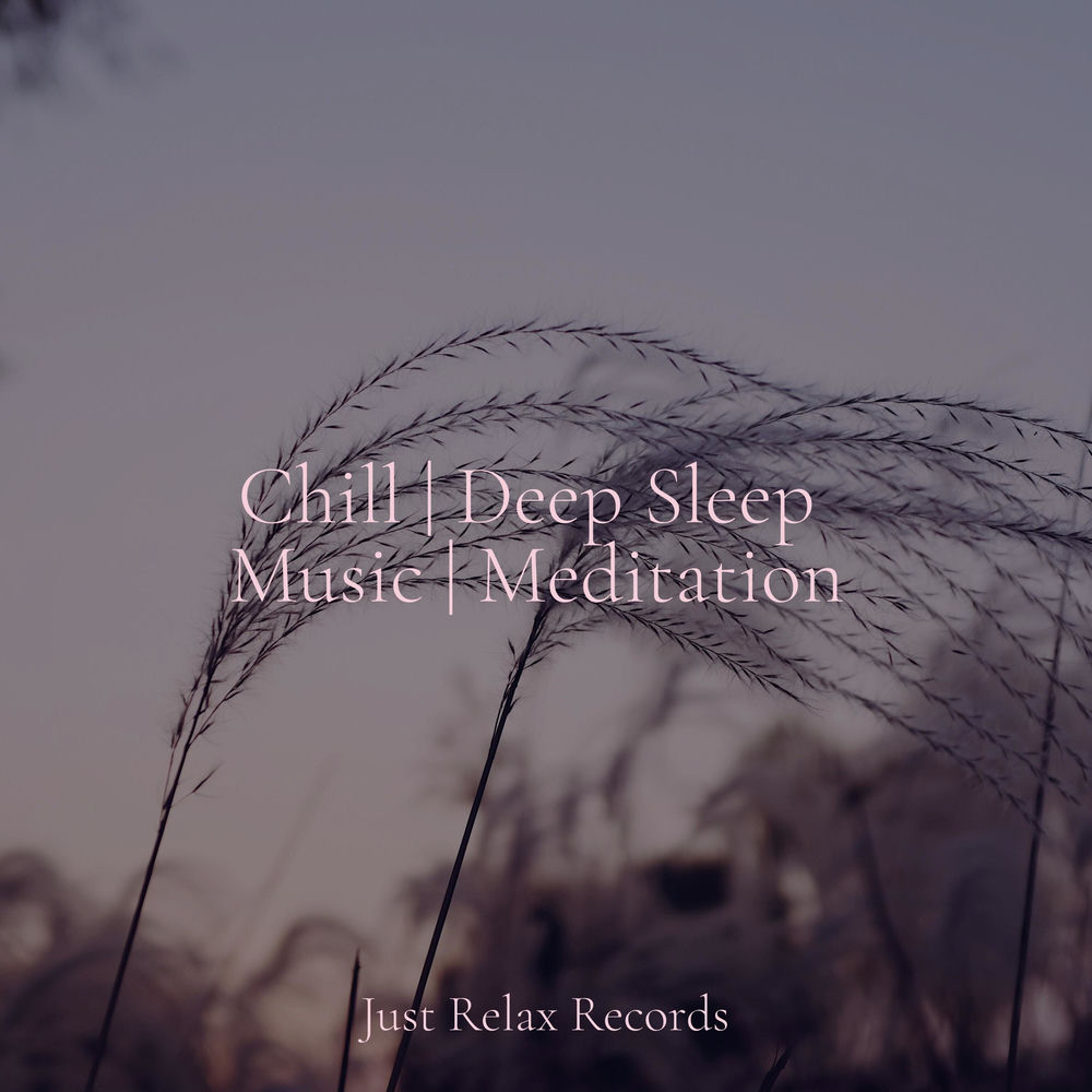 Chill | Deep Sleep Music | Meditation