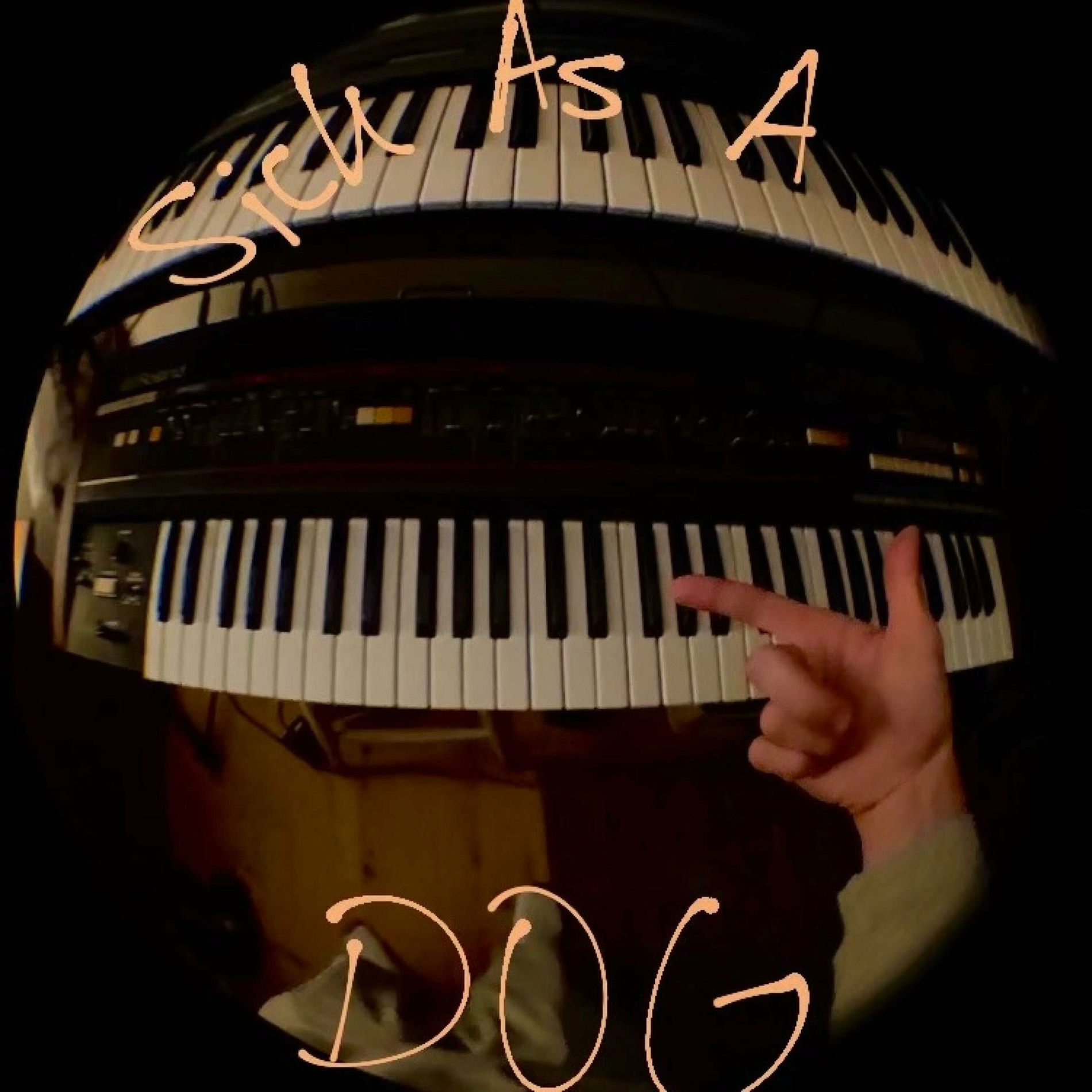 Album cover of Sick As a Dog