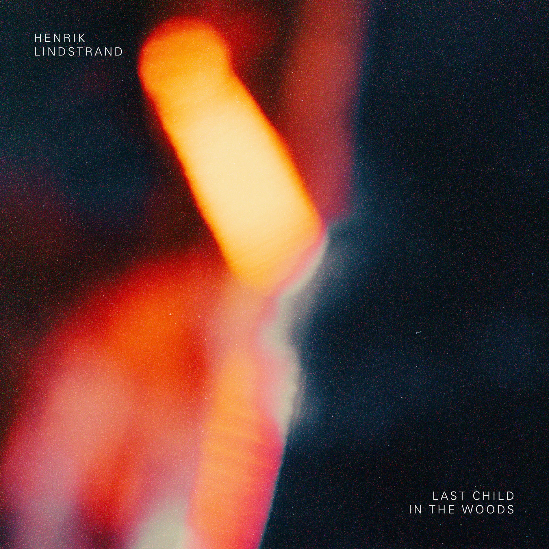 Album cover of Last Child in the Woods