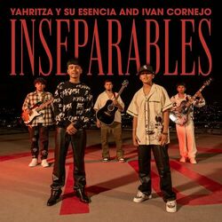 Cover of Inseparables