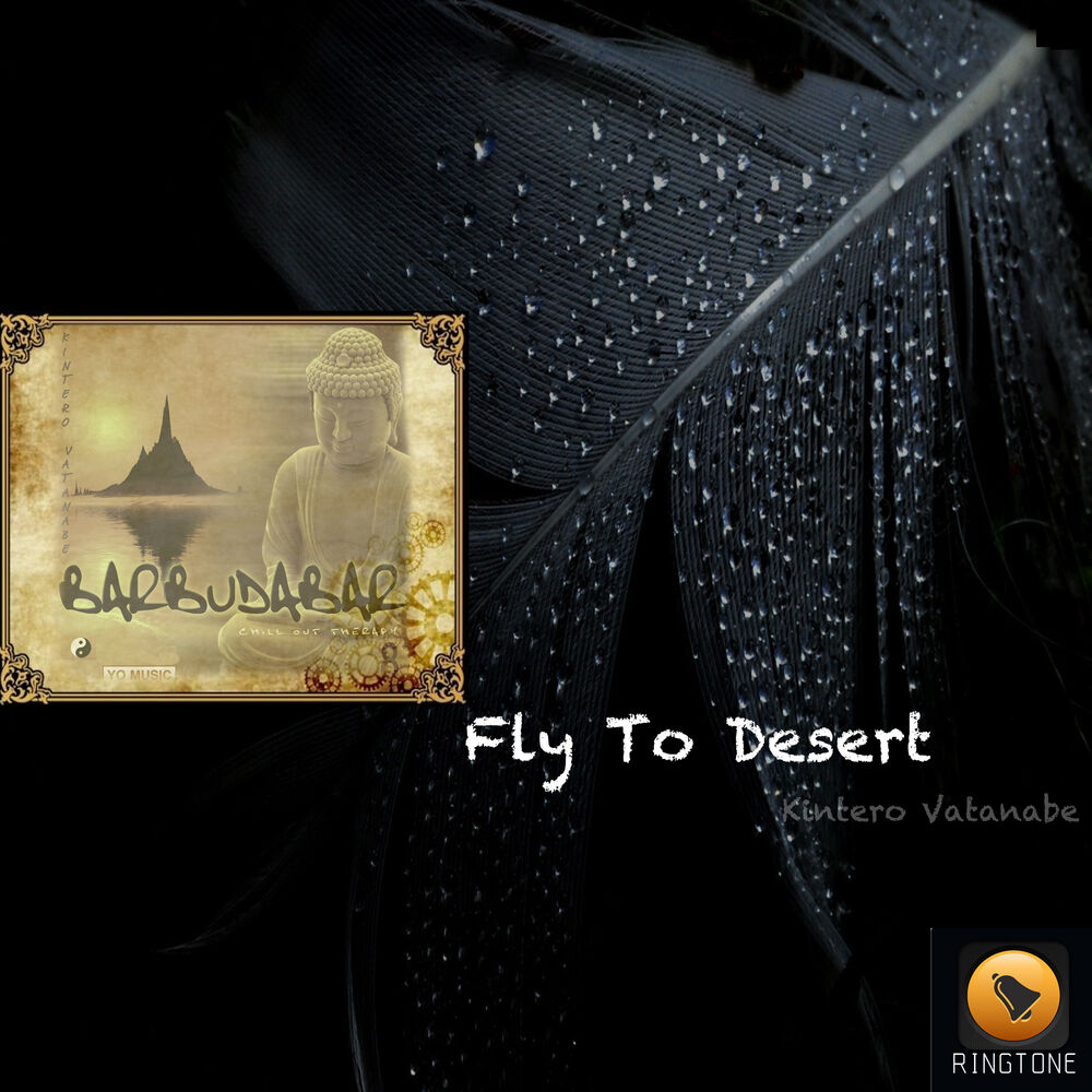 Picture of Fly To Desert
