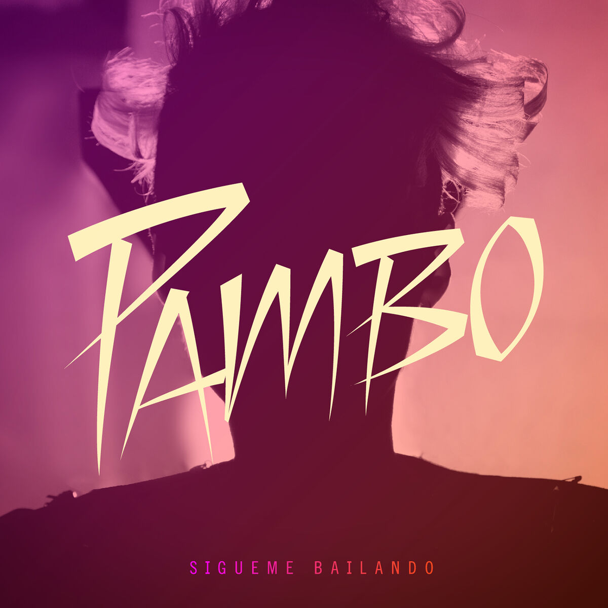 Album cover of Sígueme Bailando
