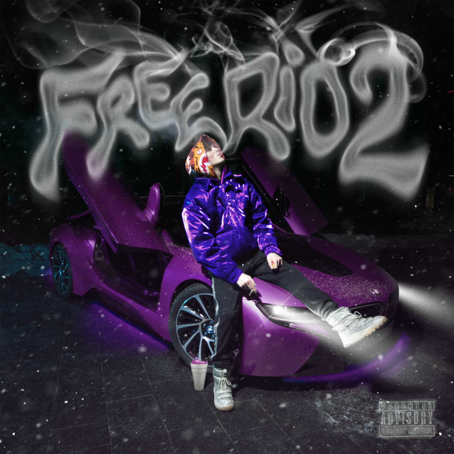 Album cover of FREERIO 2