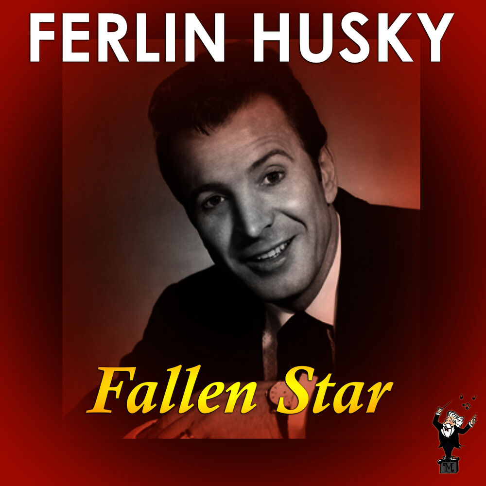 Picture of Fallen Star