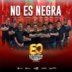 Cover of No Es Negra Es Morena