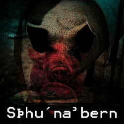 Cover of schuinaubern